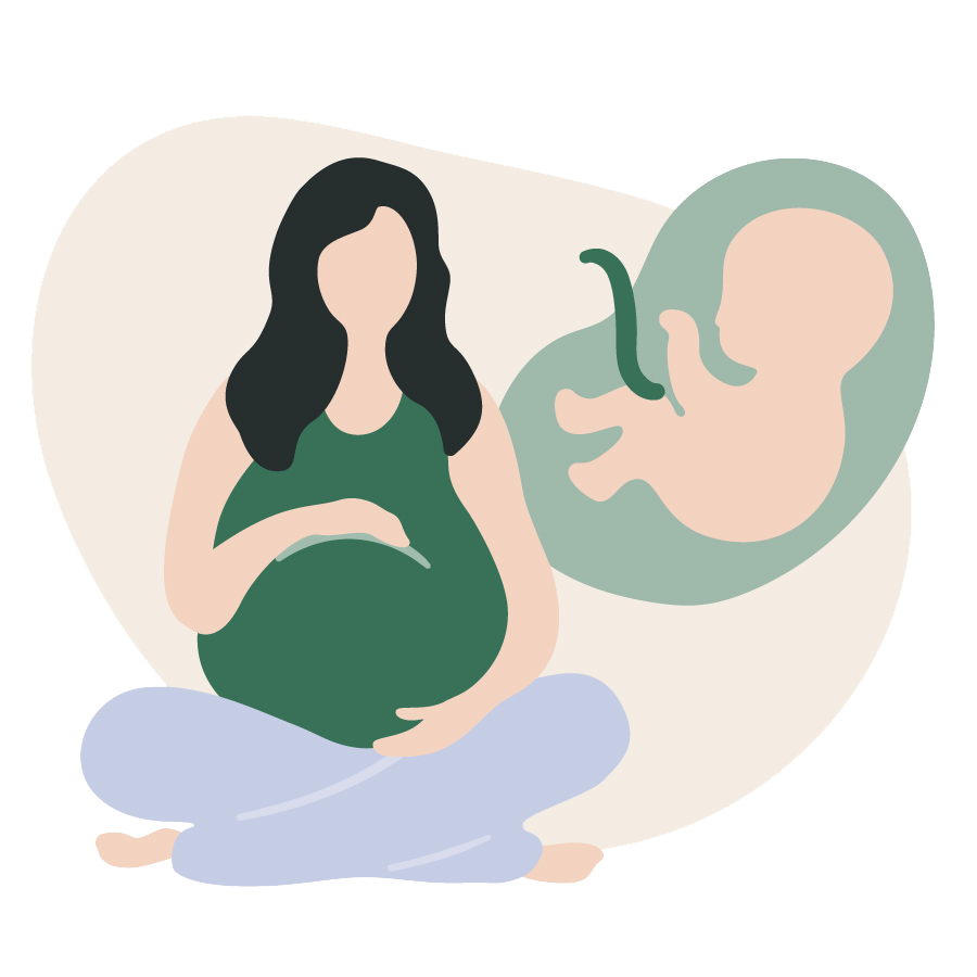 Rhea Step Illustration 260113-08