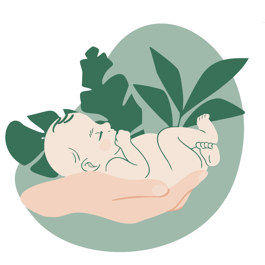 Rhea Step Illustration 260113-09